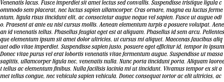 `Stirling RR Medium Italic` Preview