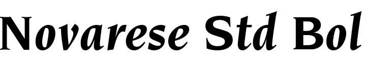 `Novarese Std Bold Italic` Preview