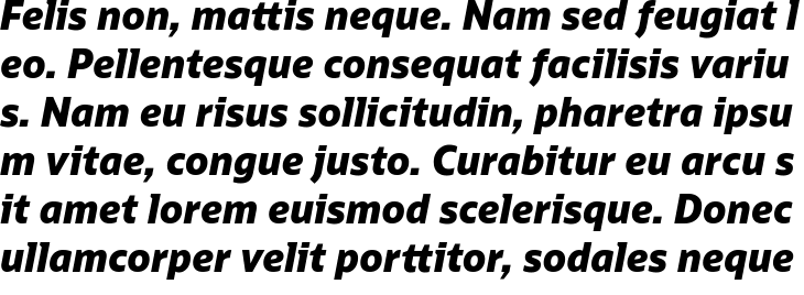 `Oracle Sans Extra Bold Italic` Preview