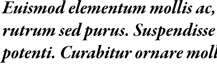 `Garamond Premier Pro SubHead Bold Italic` Preview
