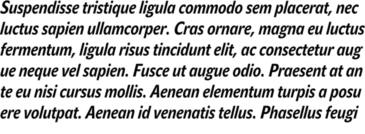 `John Sans Condensed Semi Bold italic` Preview