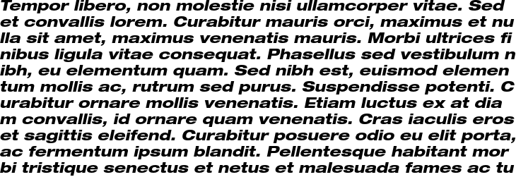 `Helvetica Neue LT Std 83 Heavy Extended Oblique` Preview