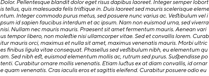 `TT Norms Italic` Preview
