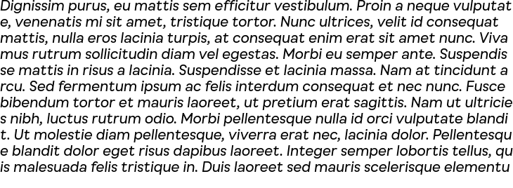 `Busup Sans Regular Italic` Preview