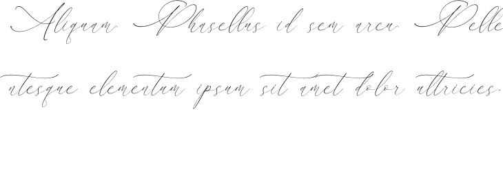 `Clements Morgle Script Italic` Preview