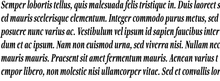 `Fionas Extra Bold Italic` Preview