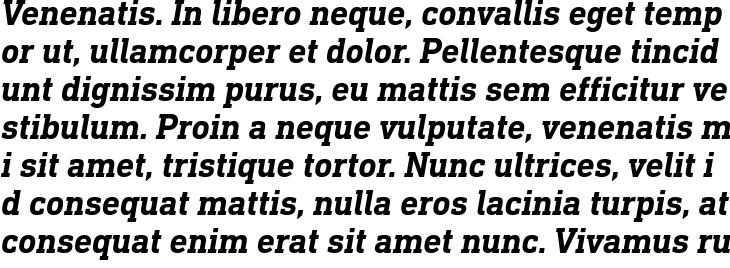`DIN Next Slab Pro Bold Italic` Preview