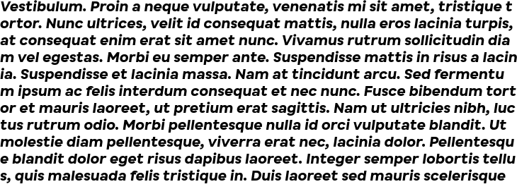 `Busup Sans Bold Italic` Preview