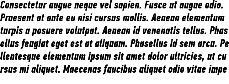 `PF Din Text Pro Bold Italic Compressed` Preview