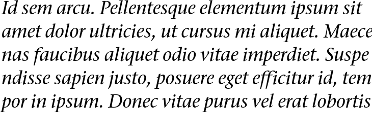 `ITC Stone Serif Medium Italic` Preview