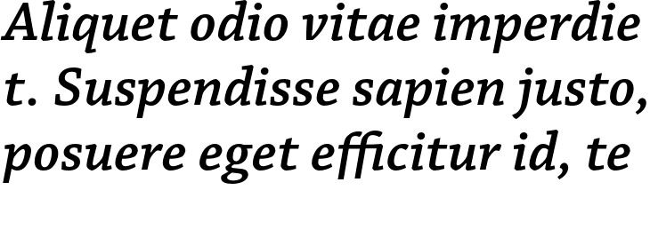 `Chaparral Pro Caption SemiBold Italic` Preview