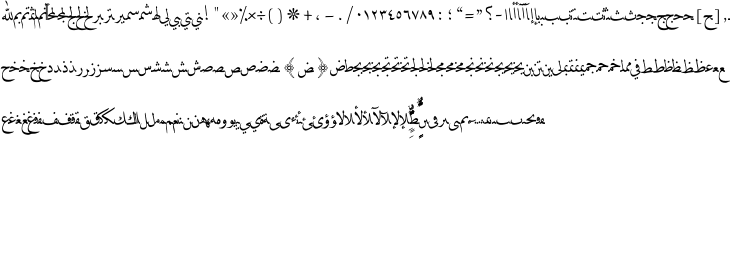 `DecoType Professional Naskh Em Space Regular` Preview