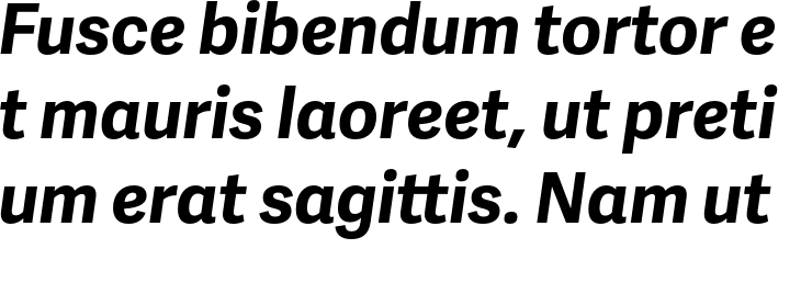 `Adelle Sans Bold Italic` Preview
