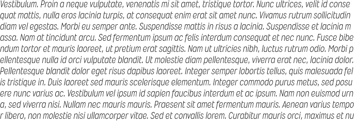 `Wyvern Lt Italic` Preview