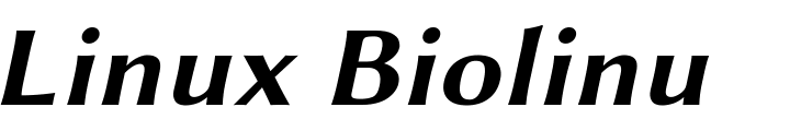 `Linux Biolinum Slanted Bold Slanted` Preview