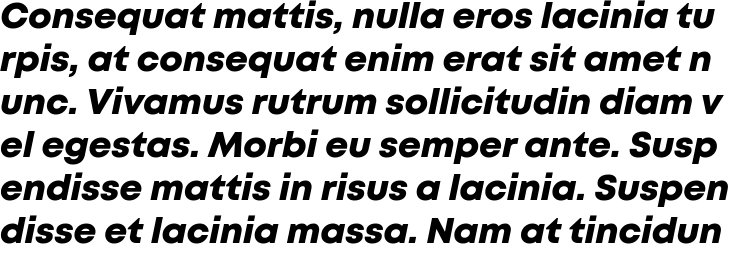 `Mont Heavy Italic` Preview