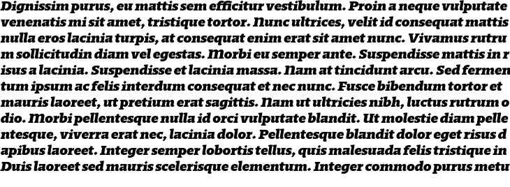 `Regime Bold Italic` Preview
