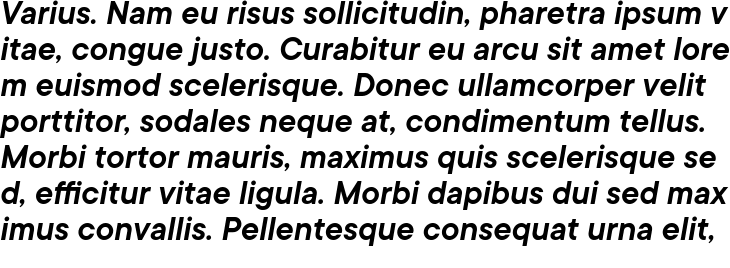 `TT Commons DemiBold Italic` Preview
