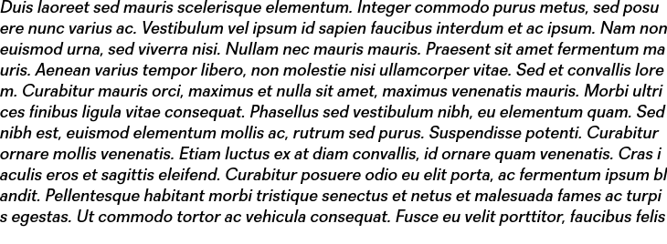 `Recta Mediium Italic` Preview