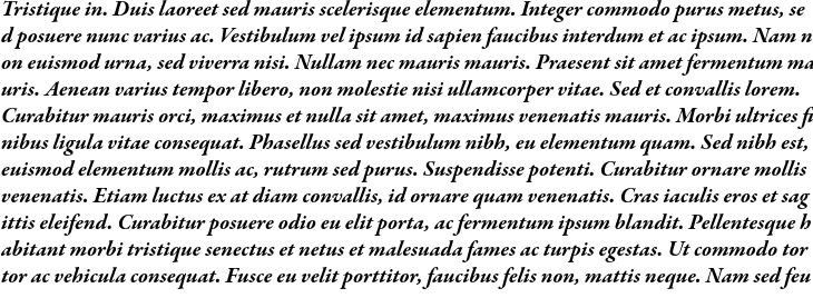 `Garamond Premier Pro Bold Italic` Preview