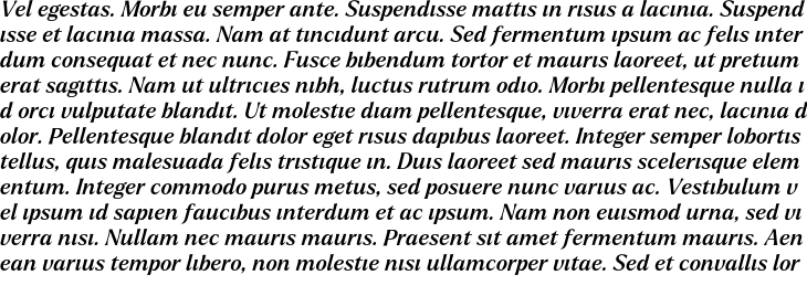 `Larken DEMO Medium Italic` Preview