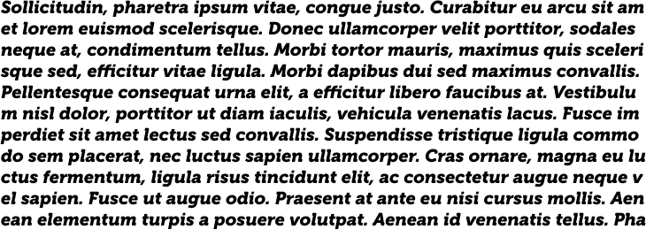 `Museo 900 Italic` Preview