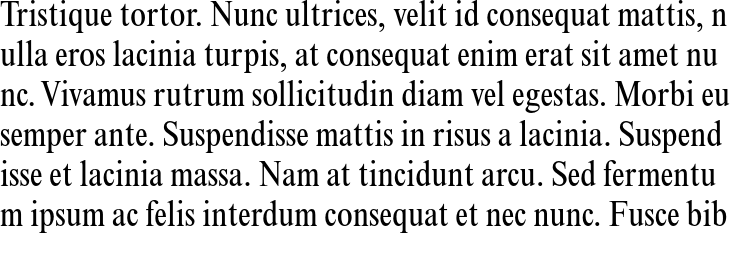 `Times New Roman MT Std Condensed` Preview