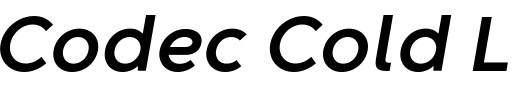 `Codec Cold Logo Bold Italic` Preview