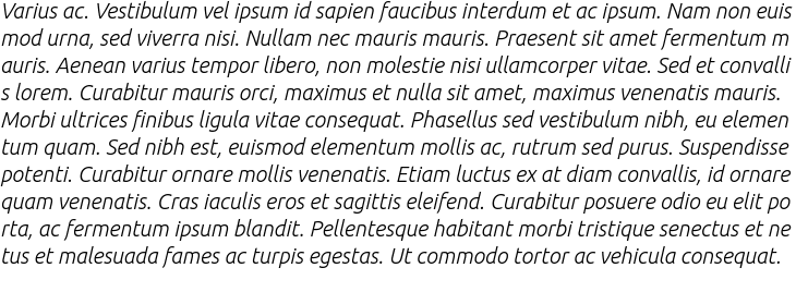`Ubuntu Light Italic` Preview