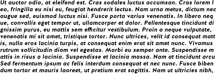 `Halis Grotesque Bold Italic` Preview