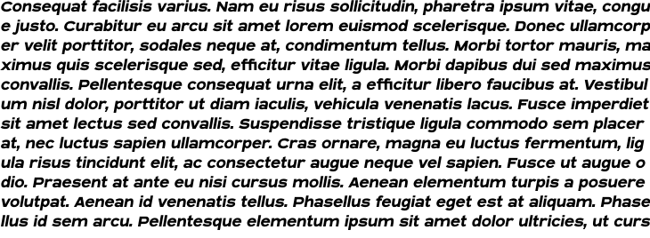 `Blatant Bold Italic` Preview