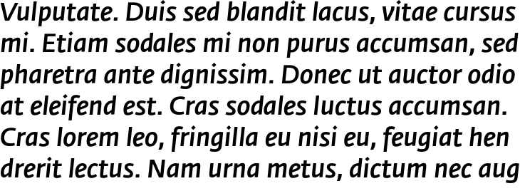 `Fedra Sans Pro Medium Italic` Preview