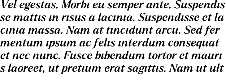 `Larken DEMO Medium Italic` Preview