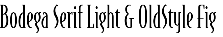 `Bodega Serif Light & OldStyle Figures` Preview