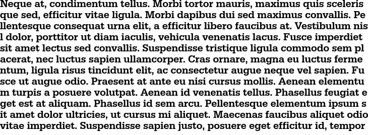 `Serifa T Medium` Preview