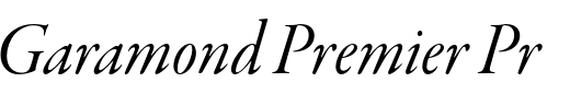 `Garamond Premier Pro Display Italic` Preview