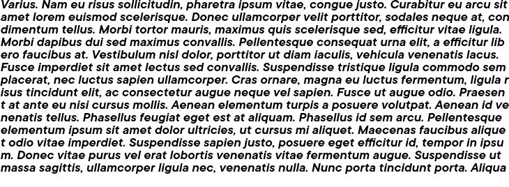 `TT Commons DemiBold Italic` Preview