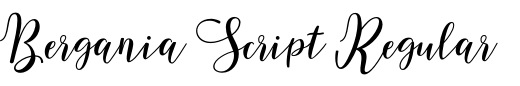 `Bergania Script Regular` Preview