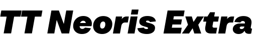 `TT Neoris Extra Bold Italic` Preview