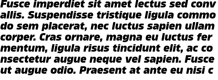 `Amfibia Extra Bold Italic` Preview