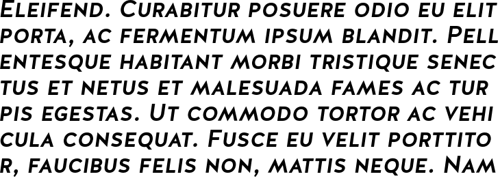`Halis Grotesque Small Caps Medium Italic` Preview
