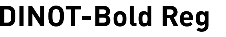 `DINOT-Bold Regular` Preview