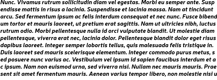 `Neris Bold Italic` Preview