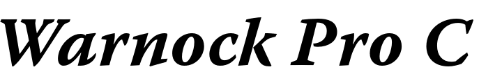 `Warnock Pro Caption Bold Italic` Preview