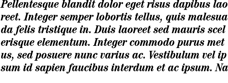 `ITC Century Condensed Bold Italic` Preview