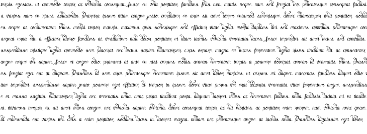 `Amora 2 Glypth Grunge Regular` Preview