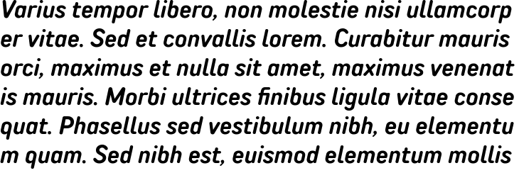 `TT Rounds Neue Bold Italic` Preview