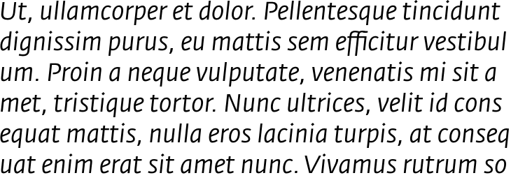 `Fedra Sans Pro Book Italic` Preview