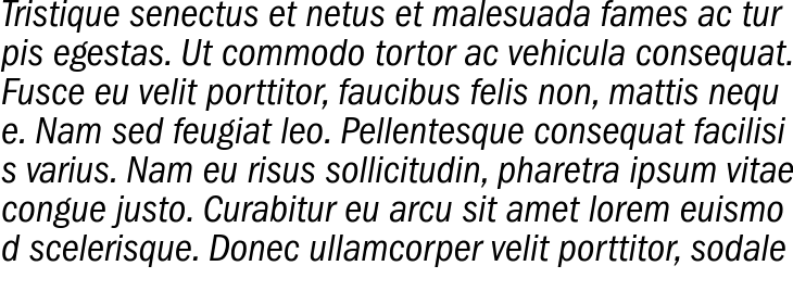 `ITC Franklin Gothic Book Italic Condensed` Preview