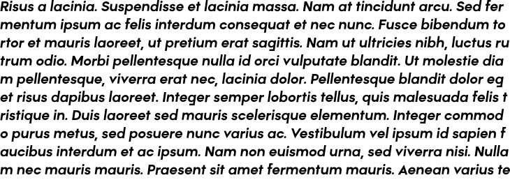 `Rothek Bold Italic` Preview